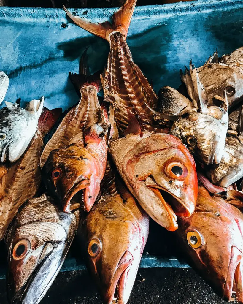 Ensuring A Future With Sustainable Fisheries